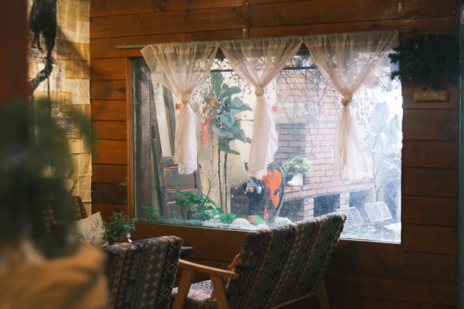 Cozy living room featuring classic double hung windows